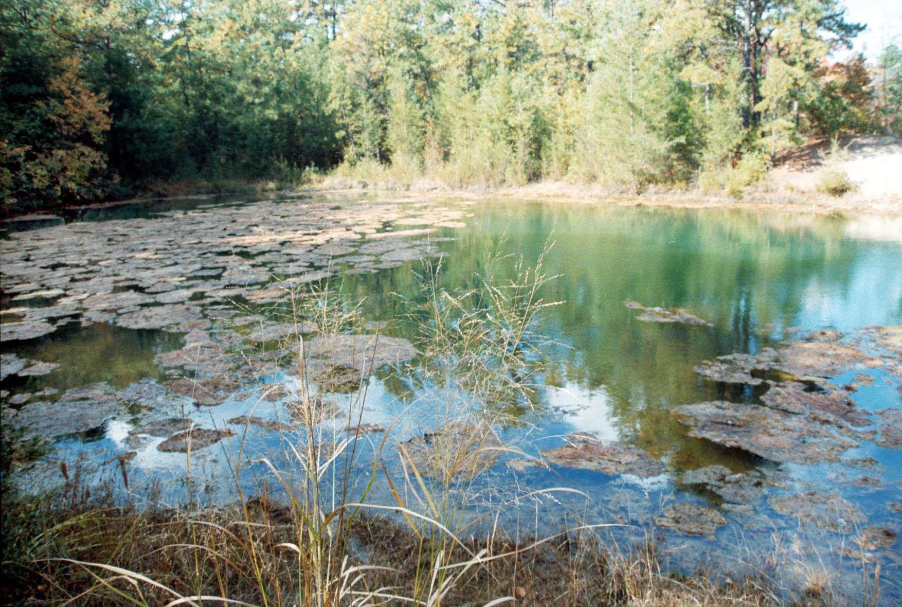 ACP MATTHEWS BLUEHOLE